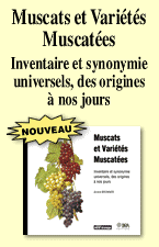 Muscats et varits muscates